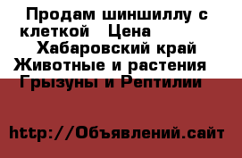 Продам шиншиллу с клеткой › Цена ­ 6 000 - Хабаровский край Животные и растения » Грызуны и Рептилии   